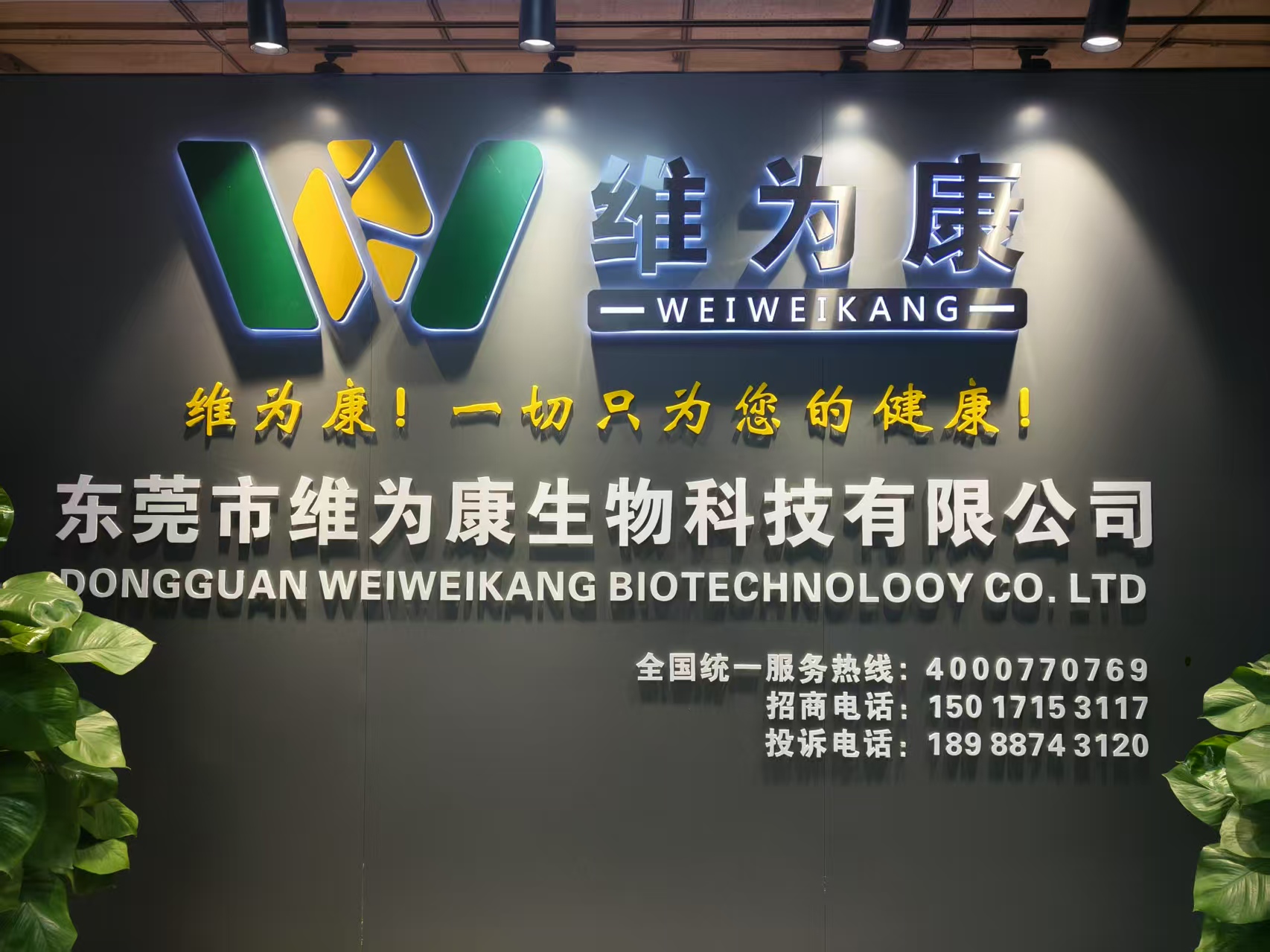 公司简介